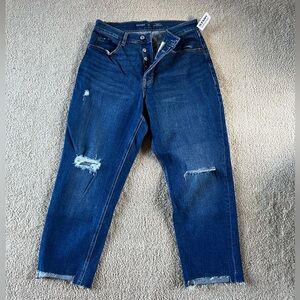 NWT 12 Petite Curvy Sky High Straight Jeans